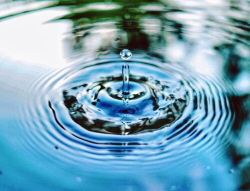 Well Water vs. City Water: Which Is Right for You?